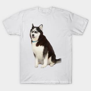 Husky meme T-Shirt